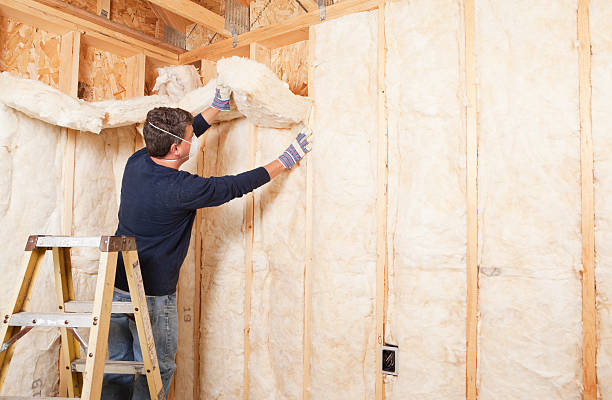 Best Blown-In Insulation in USA